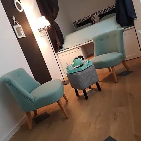 Apartment La Bonbonniere De Salome Hyper Centre Parking Possible